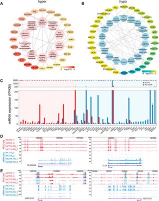 Integrated Chromatin Accessibility and Transcriptome Landscapes of 5-Fluorouracil-Resistant Colon Cancer Cells